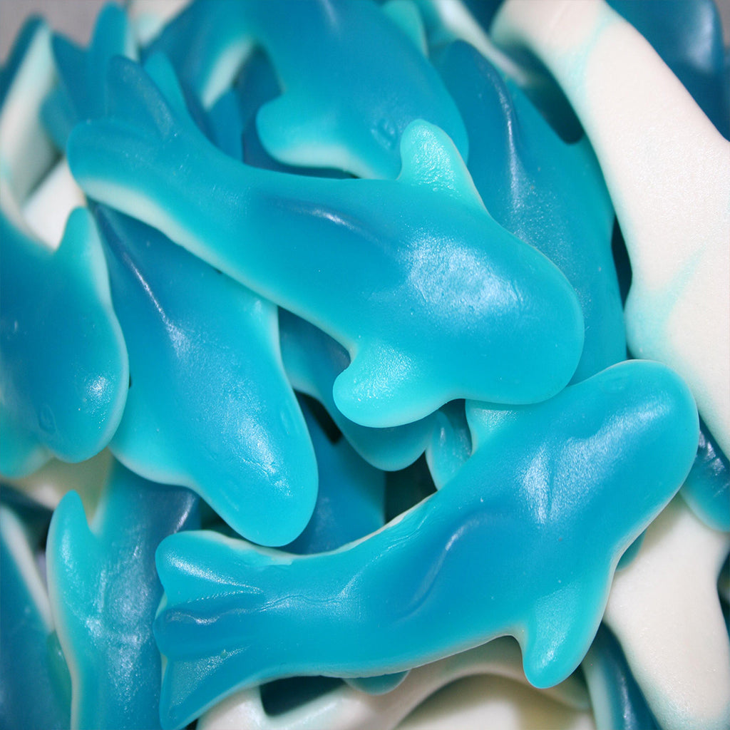 Jelly Blue & White Sharks